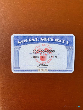 Download USA SSN photolook brown background FRONT Photoshop template